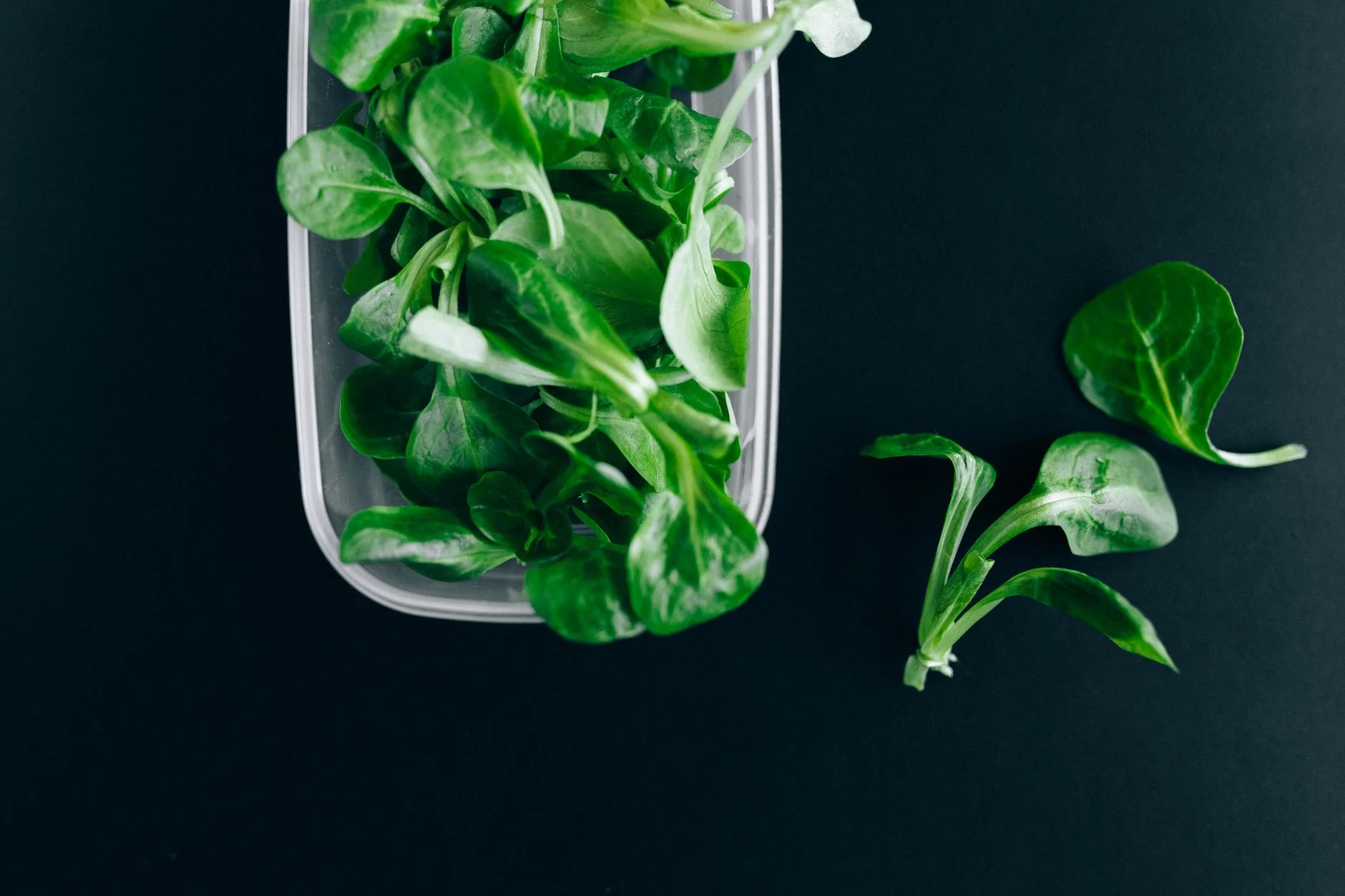 how to use up leftovers — Close-up of fresh green salad leaves in a plastic container on a black background.
